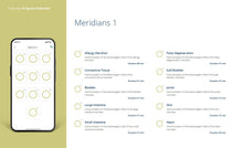 Load image into Gallery viewer, CBE x IWS Bioresonance + Aura Analysis & Therapy Device (Information)