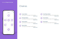 Load image into Gallery viewer, CBE x IWS Bio Resonance Analysis & Frequency Therapy