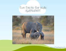 Load image into Gallery viewer, #SaveTheElephants: Wooden Handmade Elephant Puzzle + E-Learning Book
